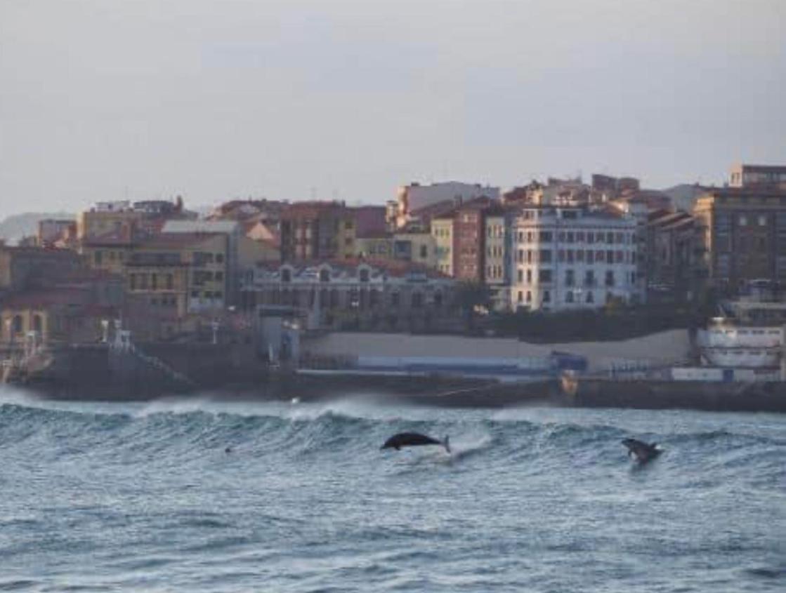 Alojamientos Muelle De Gijón Exteriör bild